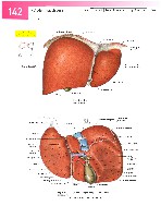 Sobotta  Atlas of Human Anatomy  Trunk, Viscera,Lower Limb Volume2 2006, page 149